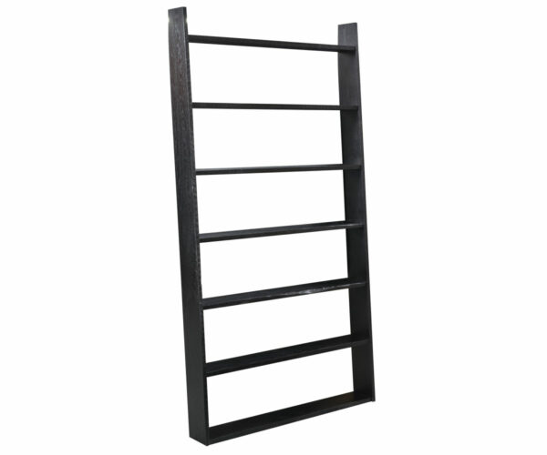 Ladder Bookshelf