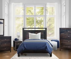 Modena Youth Collection