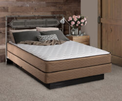 Quiet Night Plush/Firm Mattress