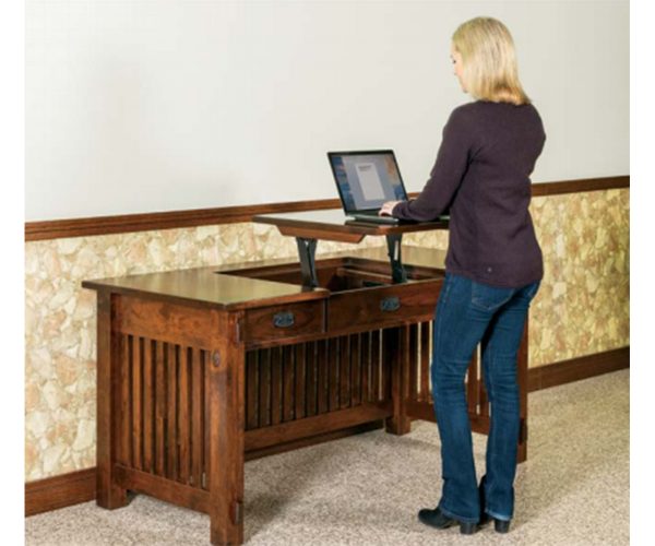 Craftsman Sit & Stand Desk - Image 4