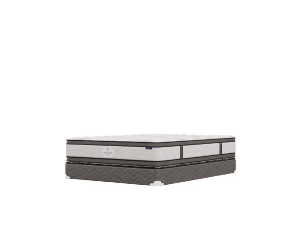 Quiet Night Duo Mattress - Image 5