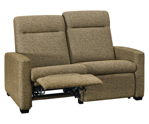 Harmony WH Loveseat Recliner - Image 2