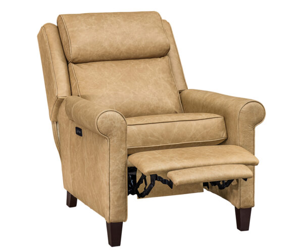 Hudson Recliner With Power Option - Image 2